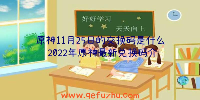原神11月25日的交换码是什么